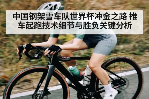中国钢架雪车队世界杯冲金之路 推车起跑技术细节与胜负关键分析